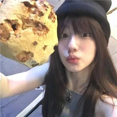 好莱坞以北